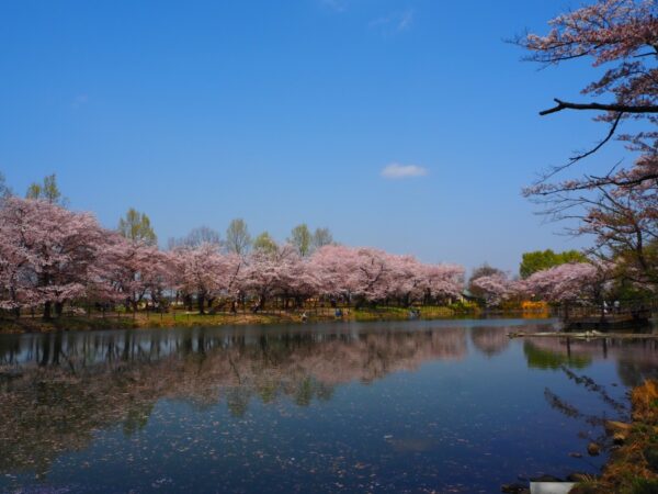 鶴ケ島運動公園